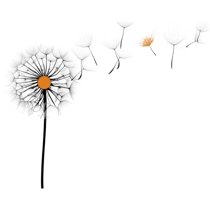 Dibiz banner for @maggie
