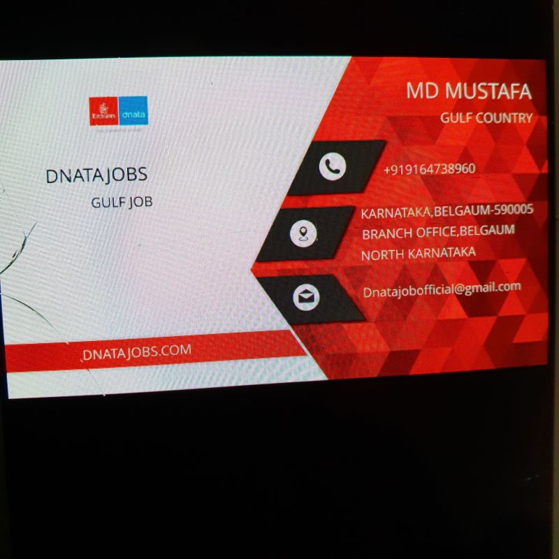 Dibiz banner for @dna