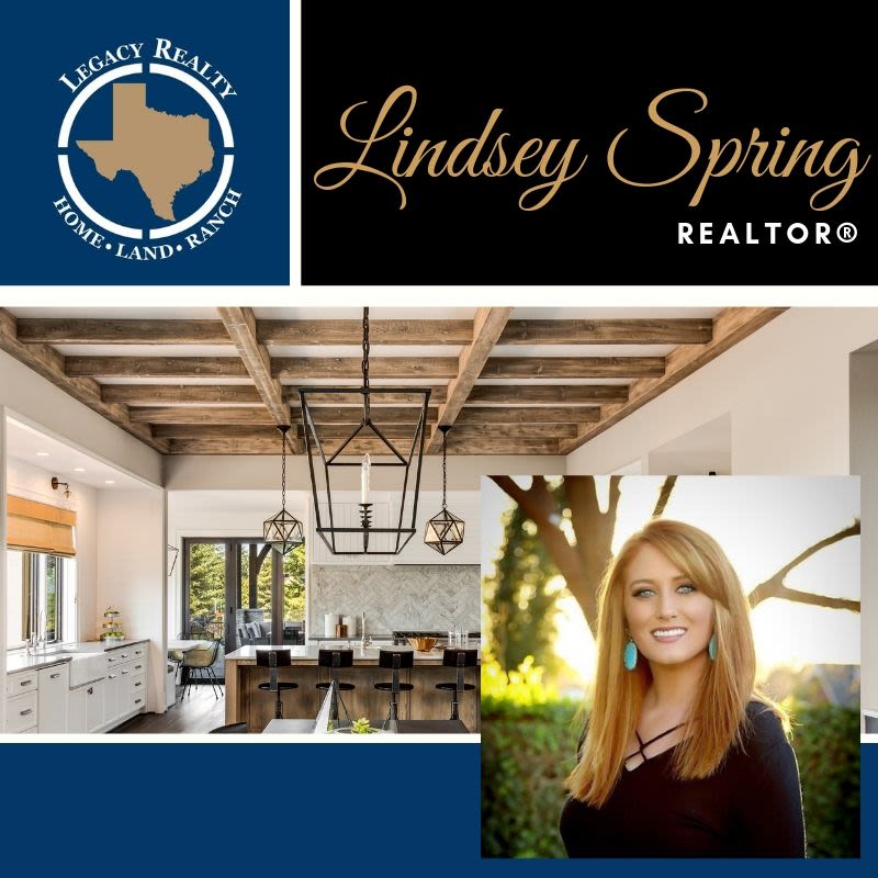 Dibiz profile picture for @lindsey