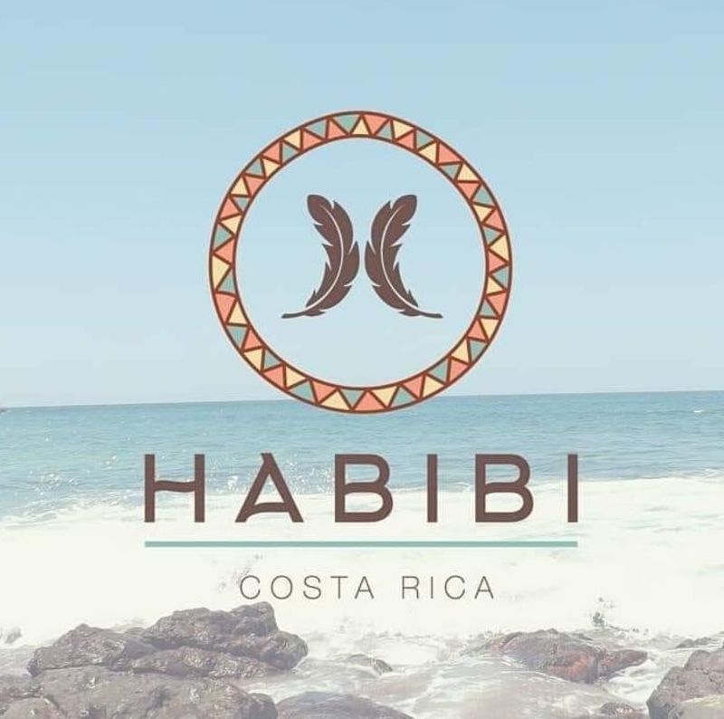 Dibiz profile picture for @habibi