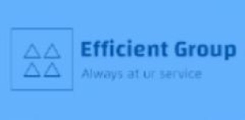 Efficient Group | DIBIZ Digital Business Cards