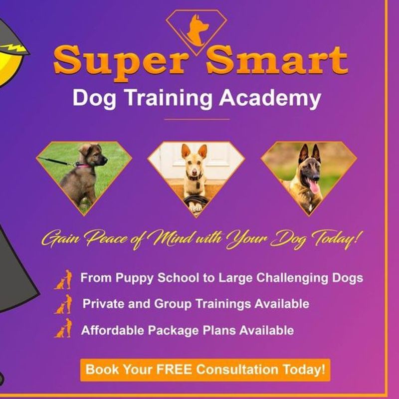 Super Smart Dog Training Academy Digital Business Cards
