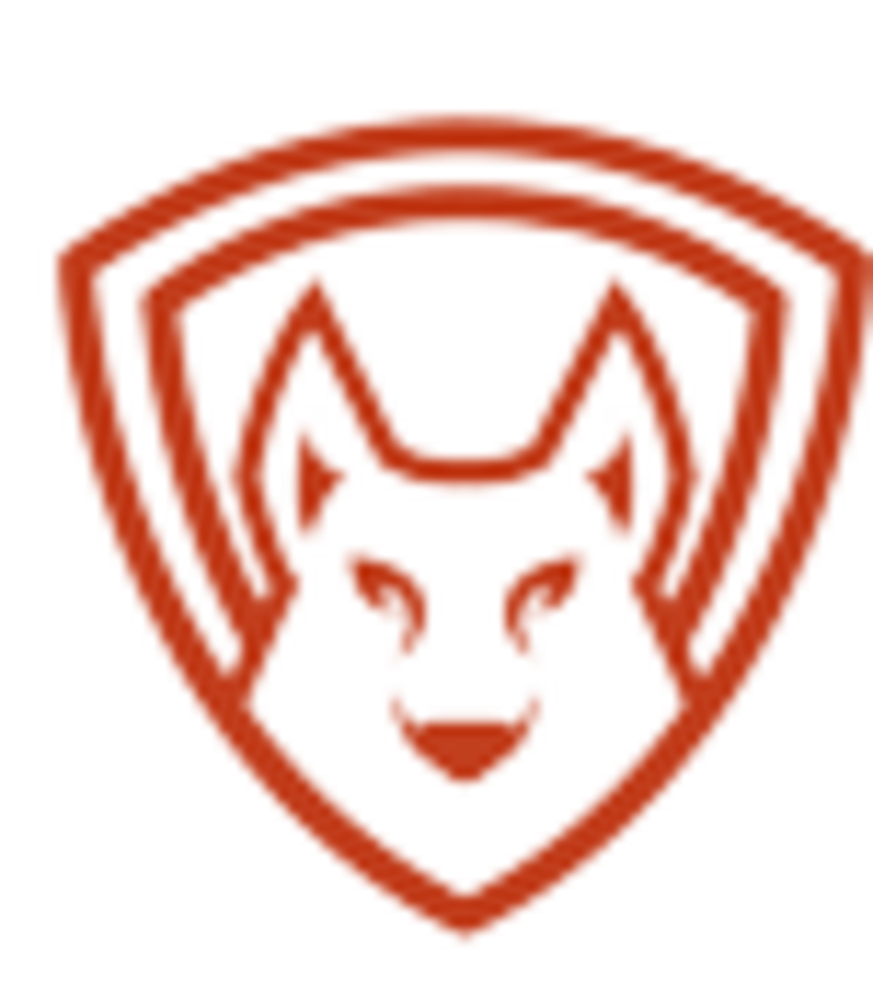 Dibiz profile picture for @detector