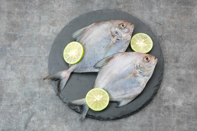 Silver Pomfret