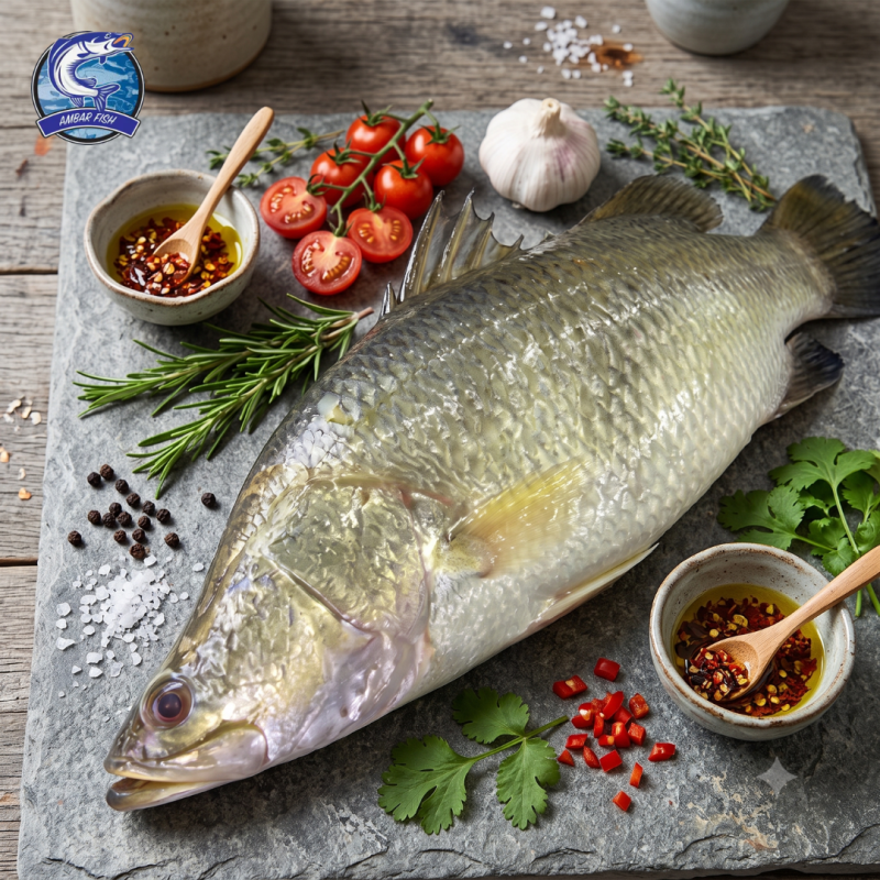 Barramundi
