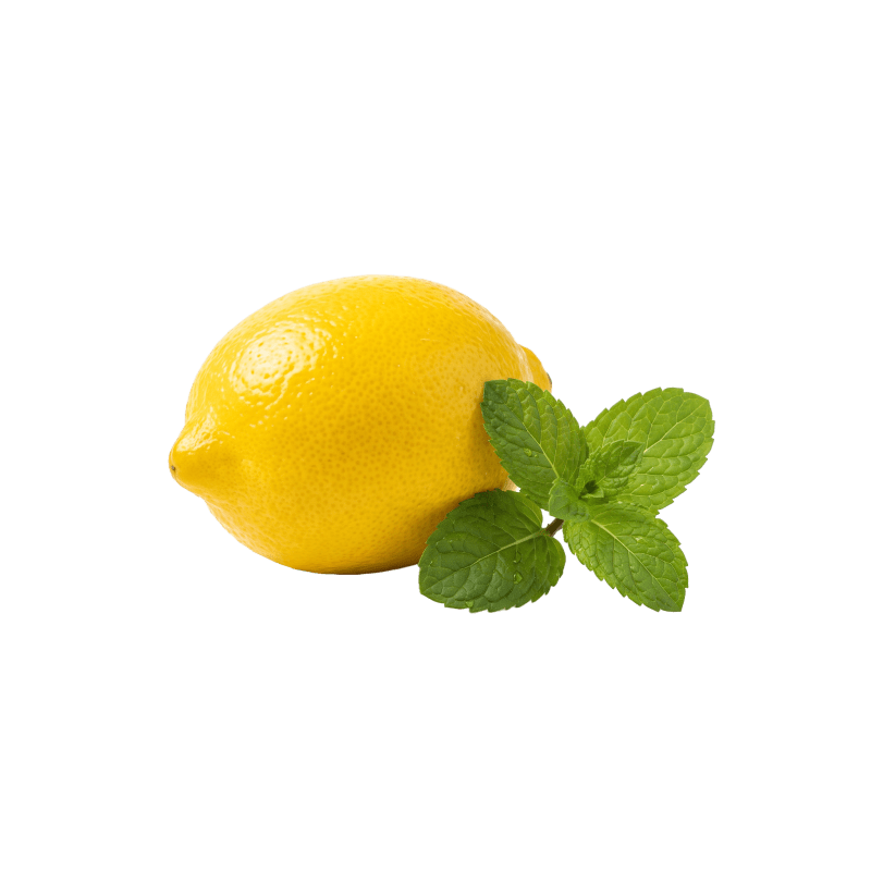 Shisha Limão Menta
