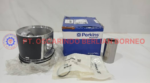 T426384 / PISTON ASSY STD