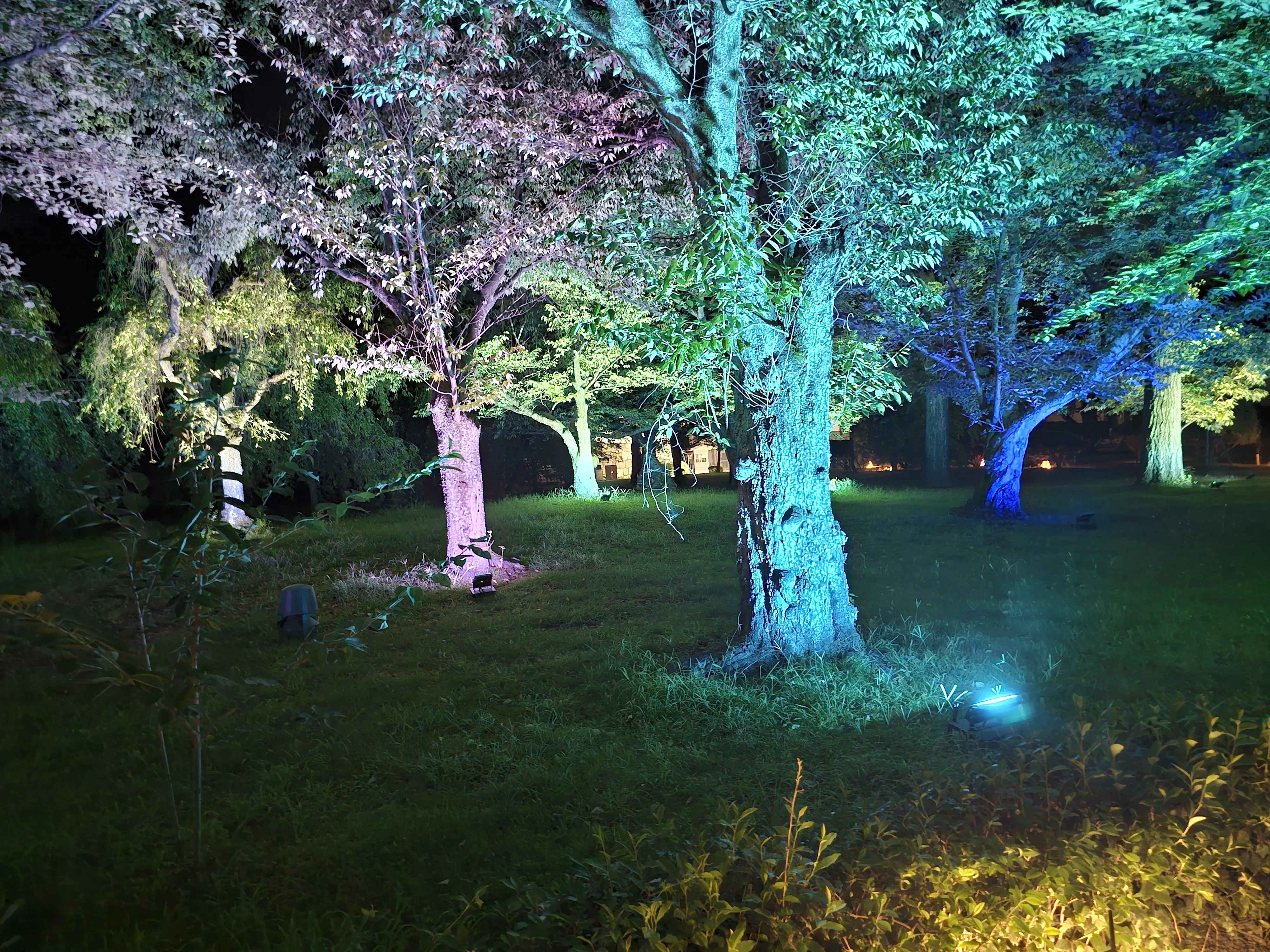 2024 Naked Festival Nijo-jo garden lit up 