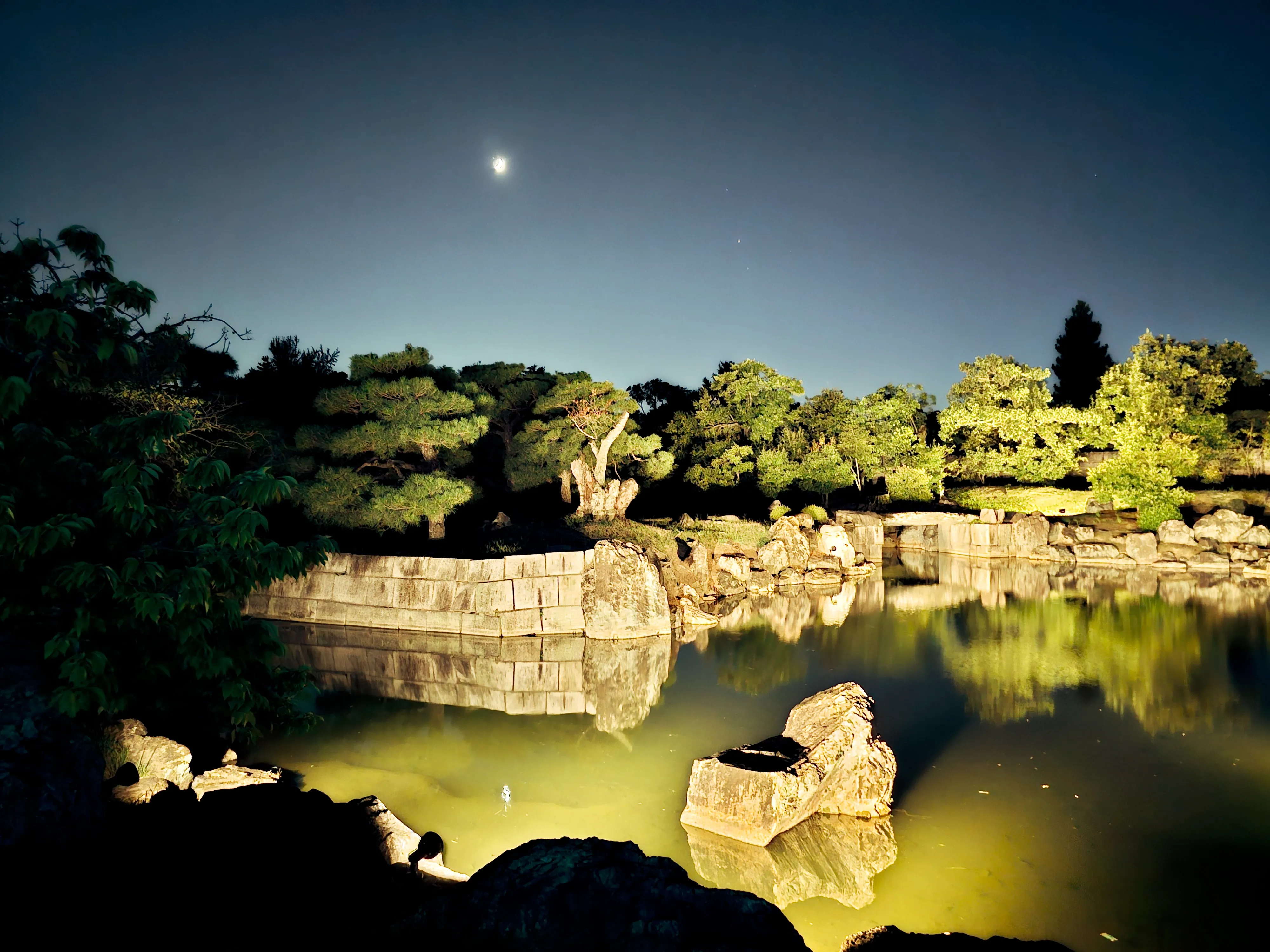 2024 Naked Festival Nijo-jo garden lit up 