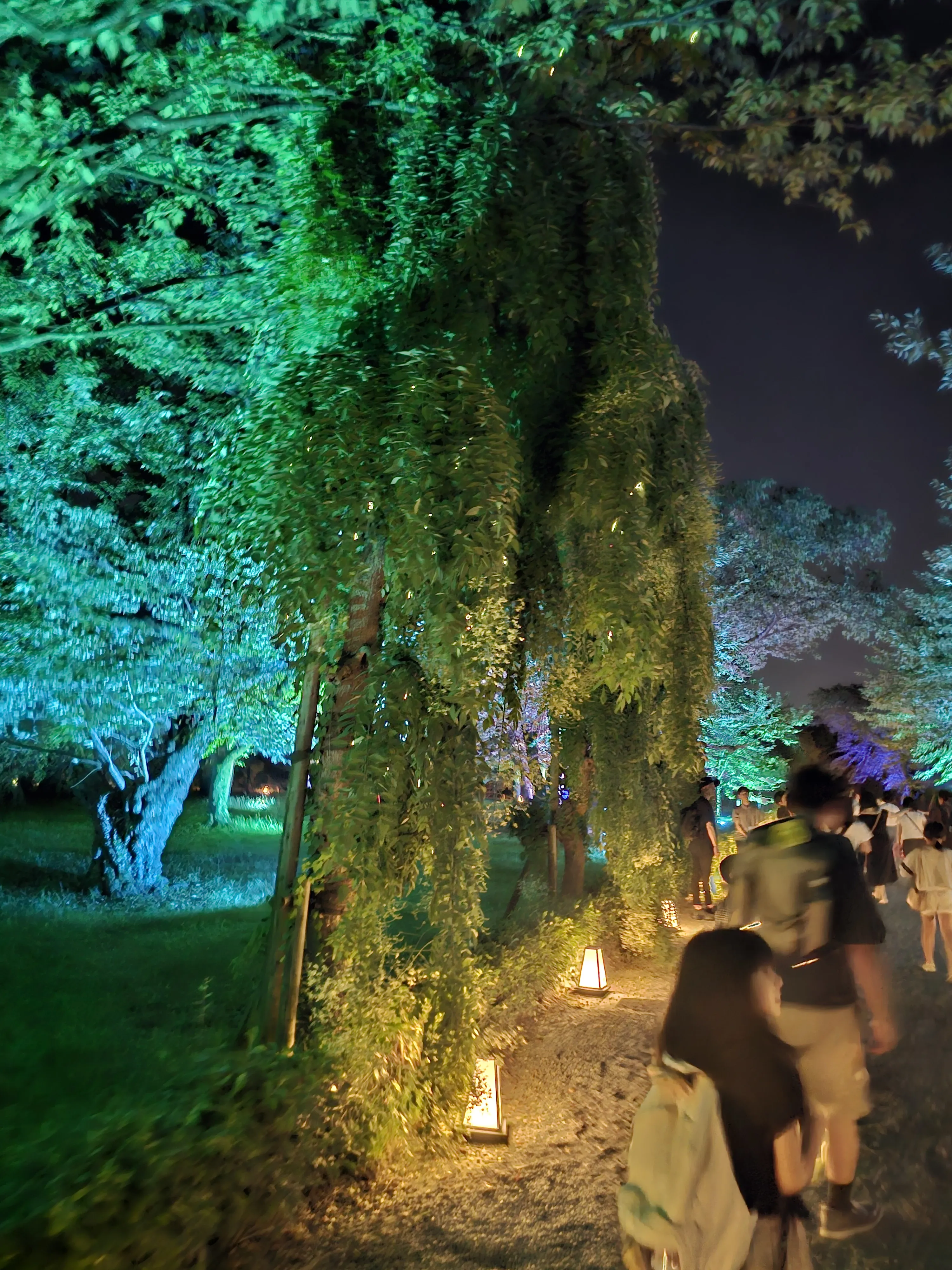 2024 Naked Festival Nijo-jo garden lit up 