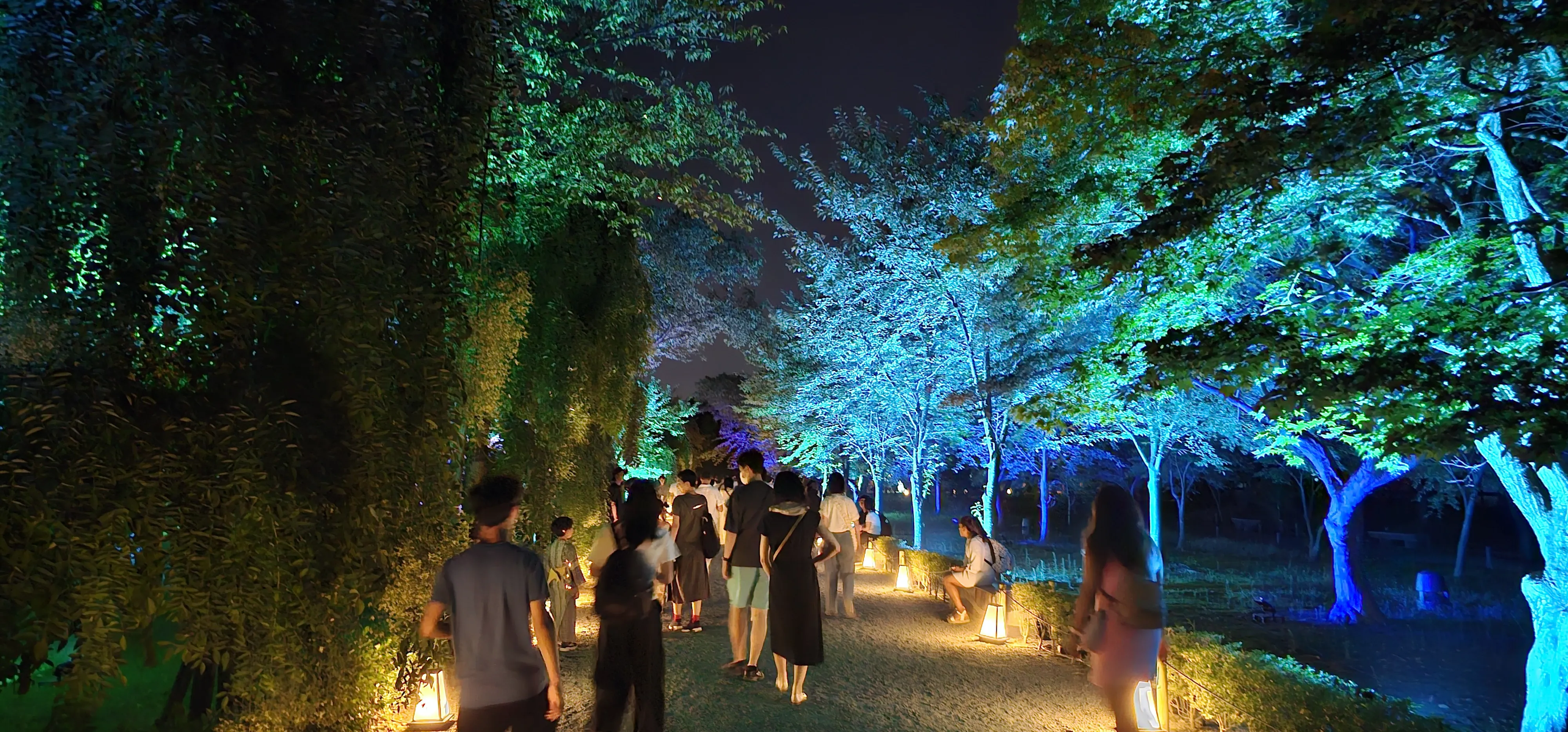 The Naked Garden Summer Illumination at Nijo Castle is a magical blend of Kyoto’s history and illumination...