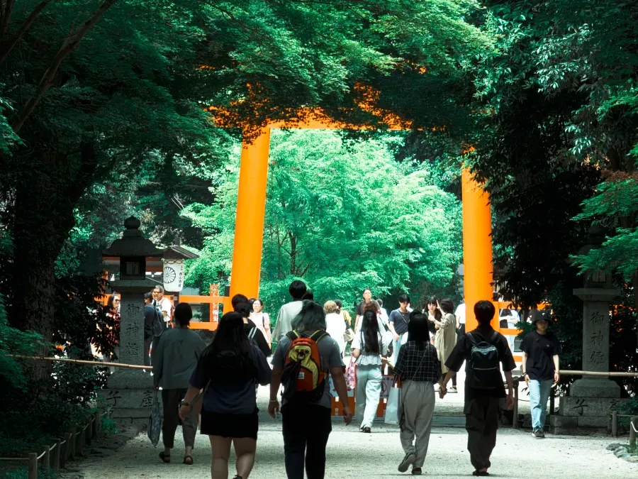 Nestled between the Kamo and Takano Rivers lies an ancient, hidden forest at the heart of Kyoto, home to 4,700 trees and over 40 distinct species. This mystical forest, in my experience, feels like stepping into another world, far removed from the urban landscape.