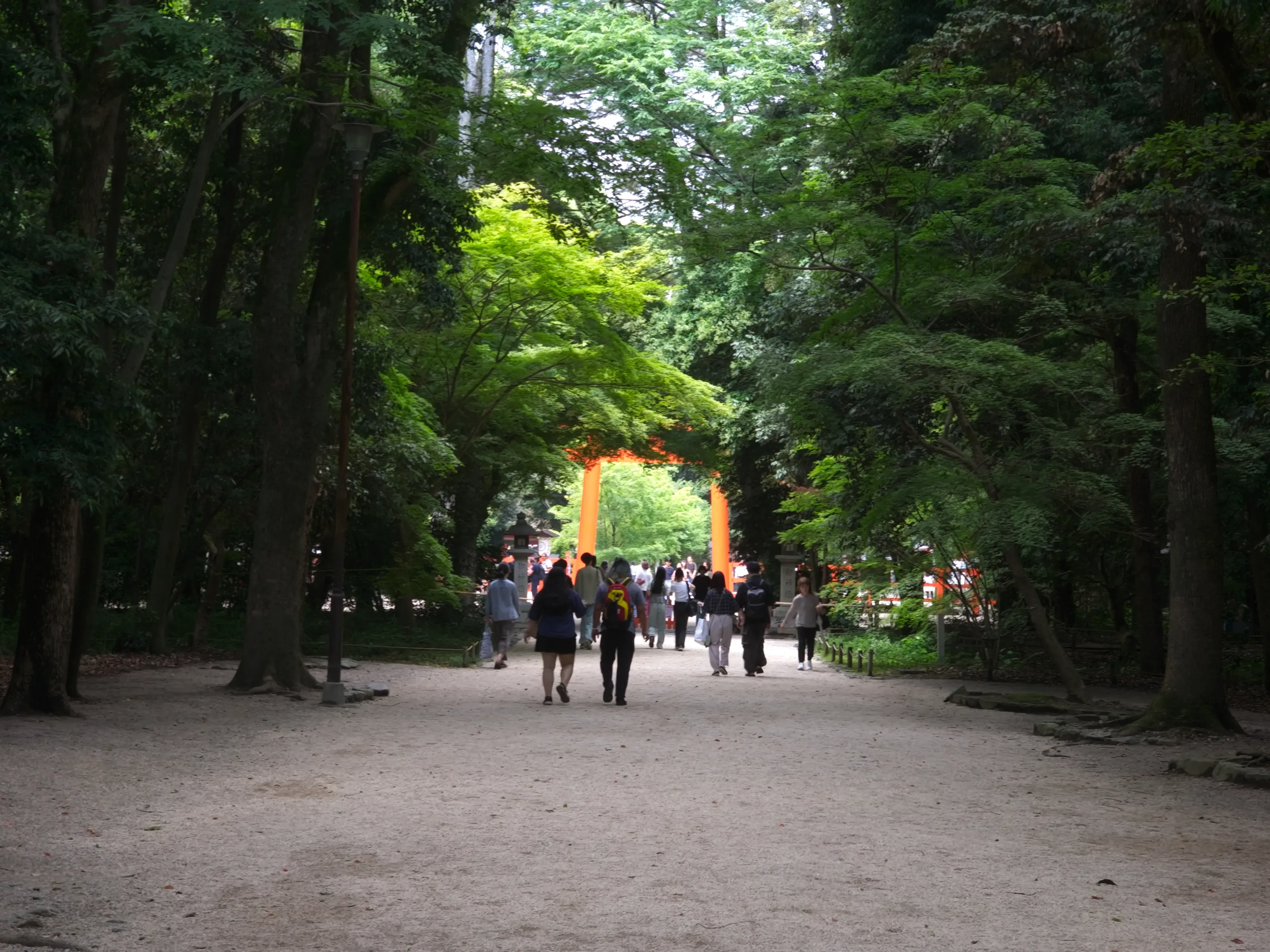 shimogamo-shrine01.BTmsmd5n_Z1cV3jA.webp