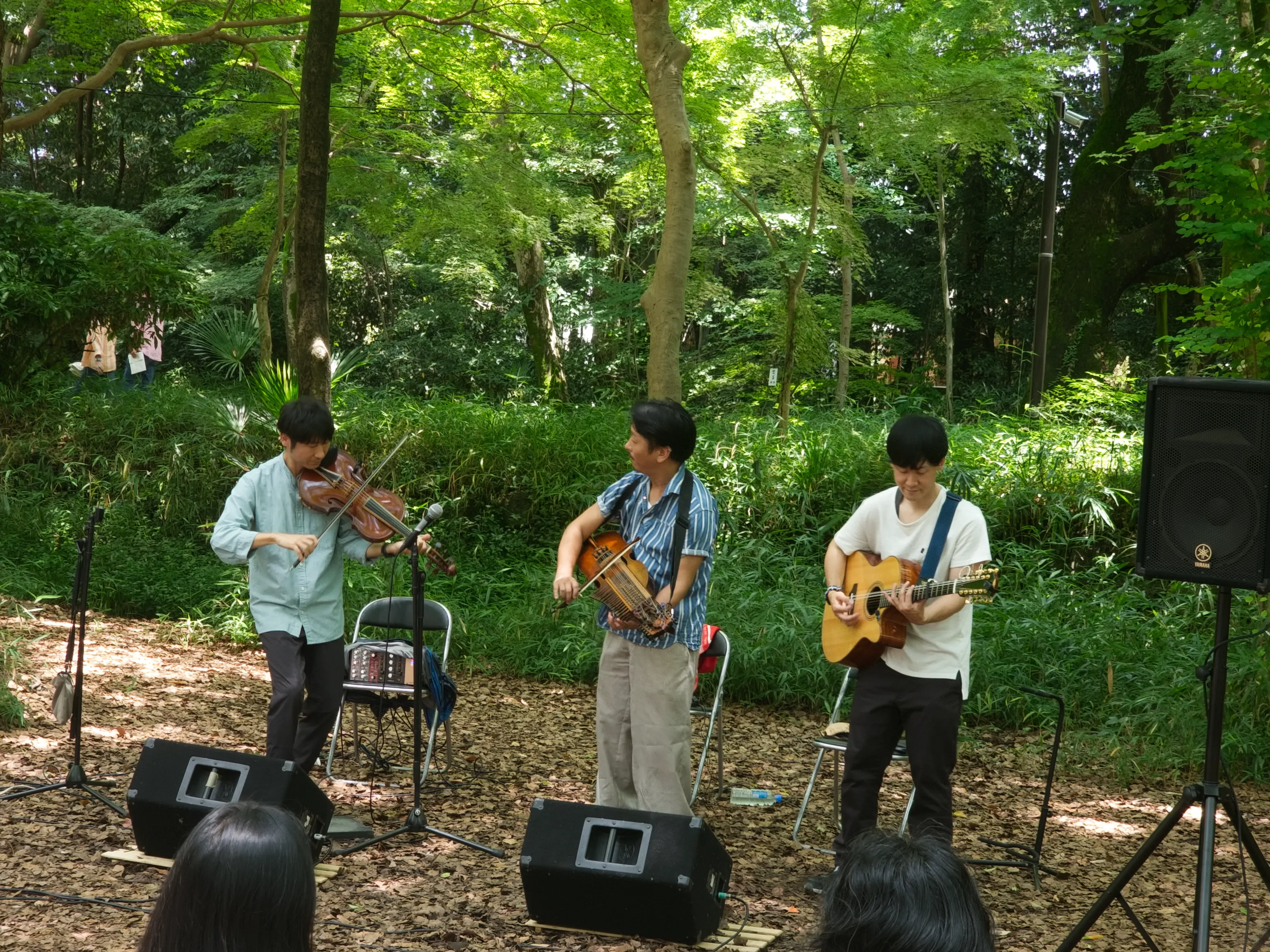 Tadasu no Mori a festival within the forest - Band playing folk music