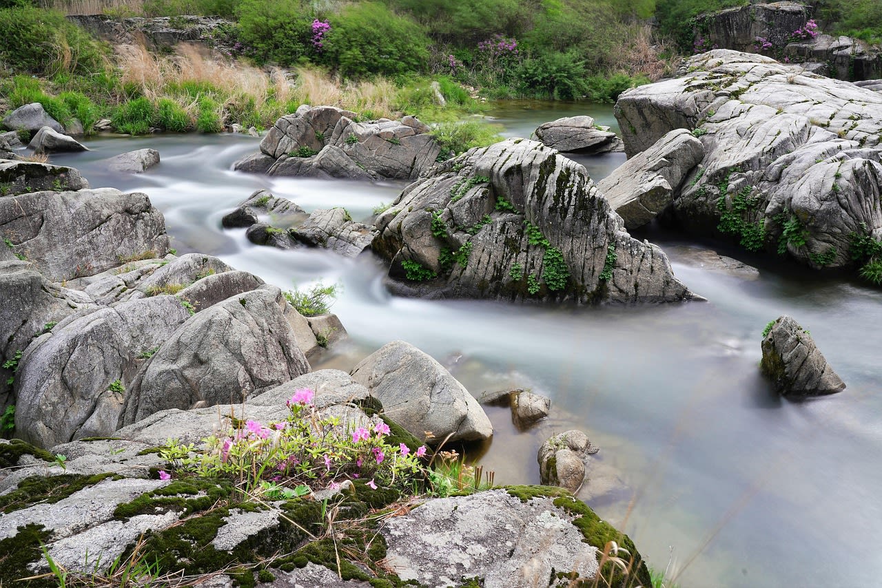 rocks, brook, stream, flow, flowing water, long exposure, rocky, river, water, clean, korea, nature, landscape, brook, stream, stream, stream, flow