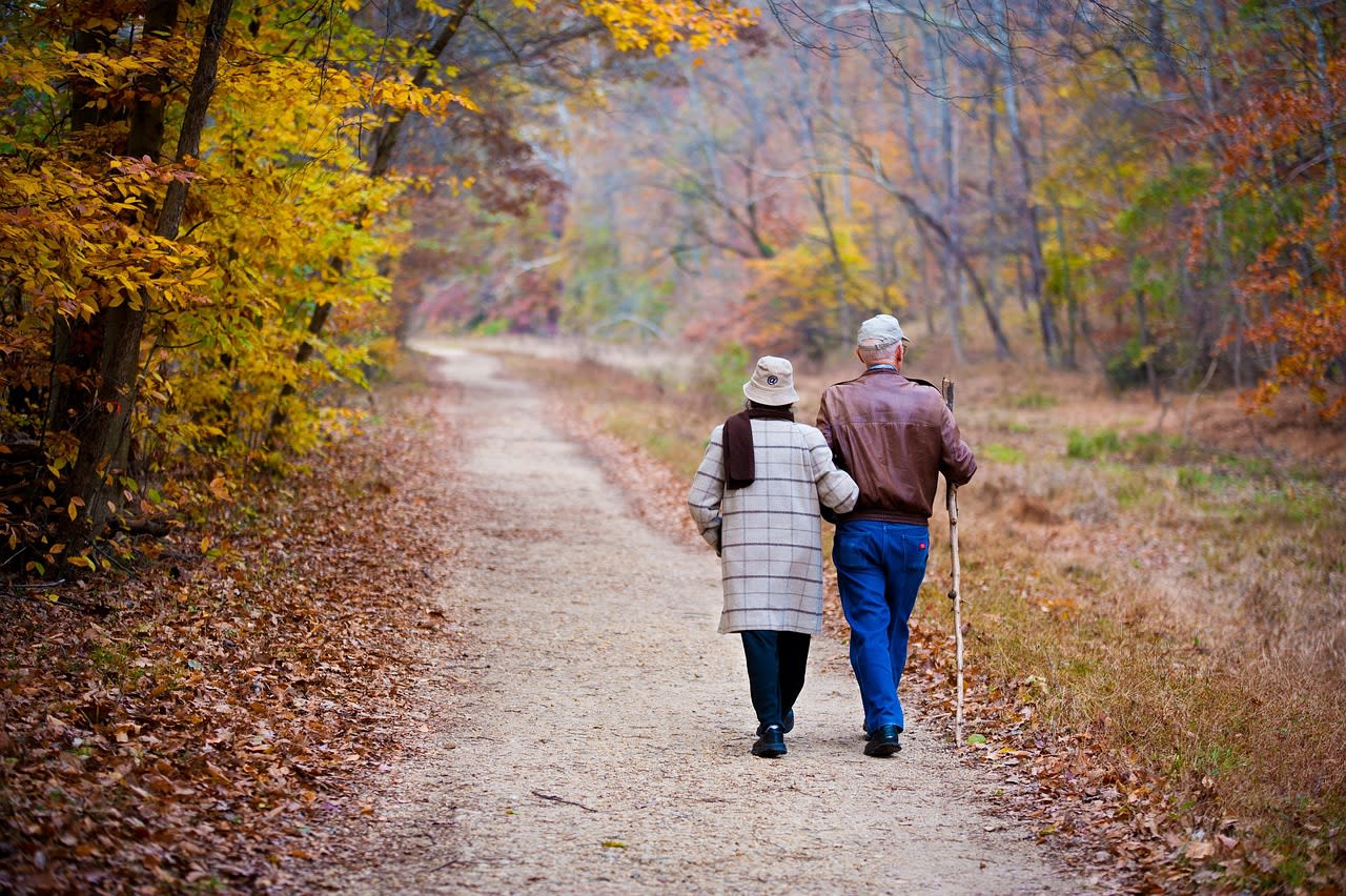 couple, elderly, walking, fall, trail, elderly couple, old couple, holding hands, path, autumn, trees, outdoors, nature, grandparents, couple, couple