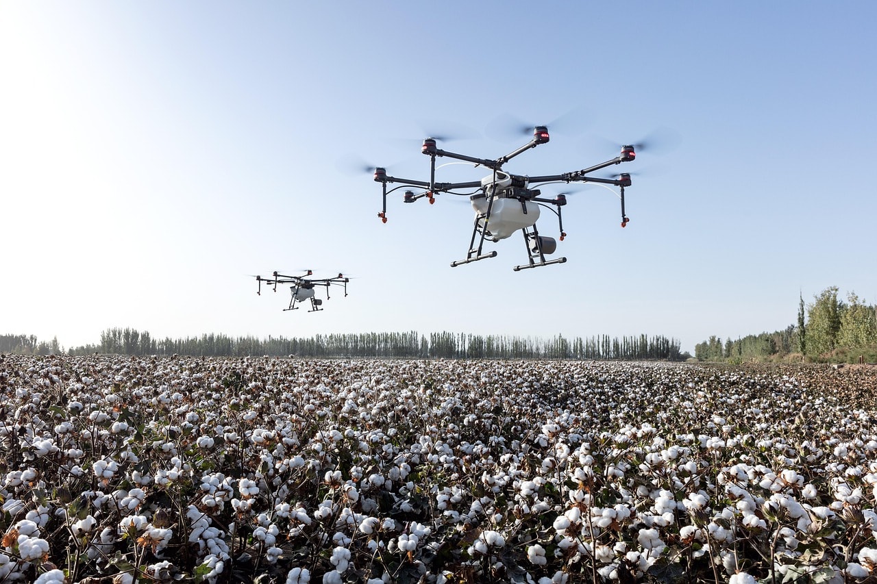 agriculture, drone, dji agriculture, dji, farming, farmland, plant protection drone, plant protection, extremely fly, cotton, cotton fields, drone