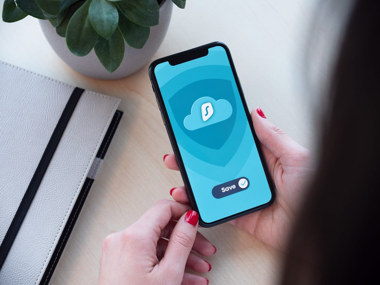 smartphone, protection, data, internet, digital, information, technology, nature, private, secure, vpn, network, online, encryption, app, plant