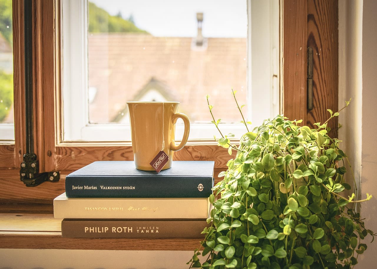 book, read, tee, literature, window sill, houseplant, window frames, novel, home, apartment, cup, book, book, book, book, home, home, home, home