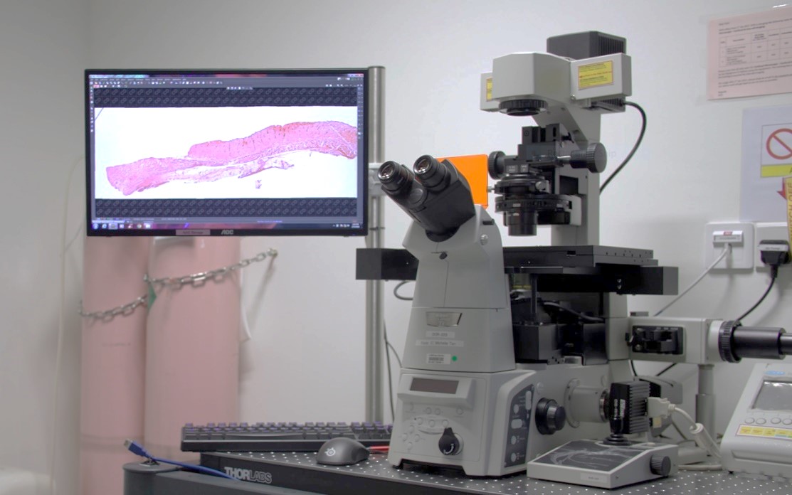 Donate to Soft Tissue Regenerative Medicine Programme