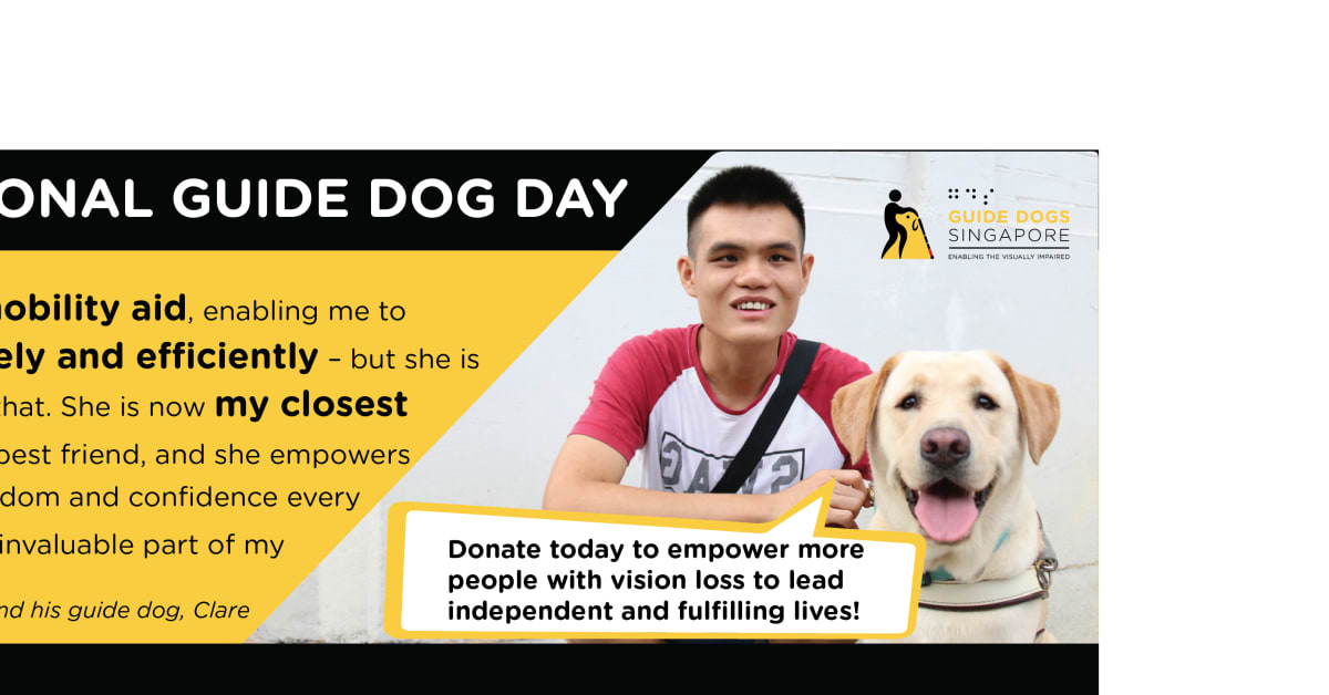 International guide dog sales day 2019