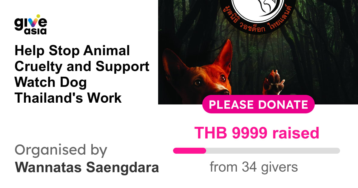 Donate to Help Stop Animal Cruelty and Support Watch Dog Thailand's Work