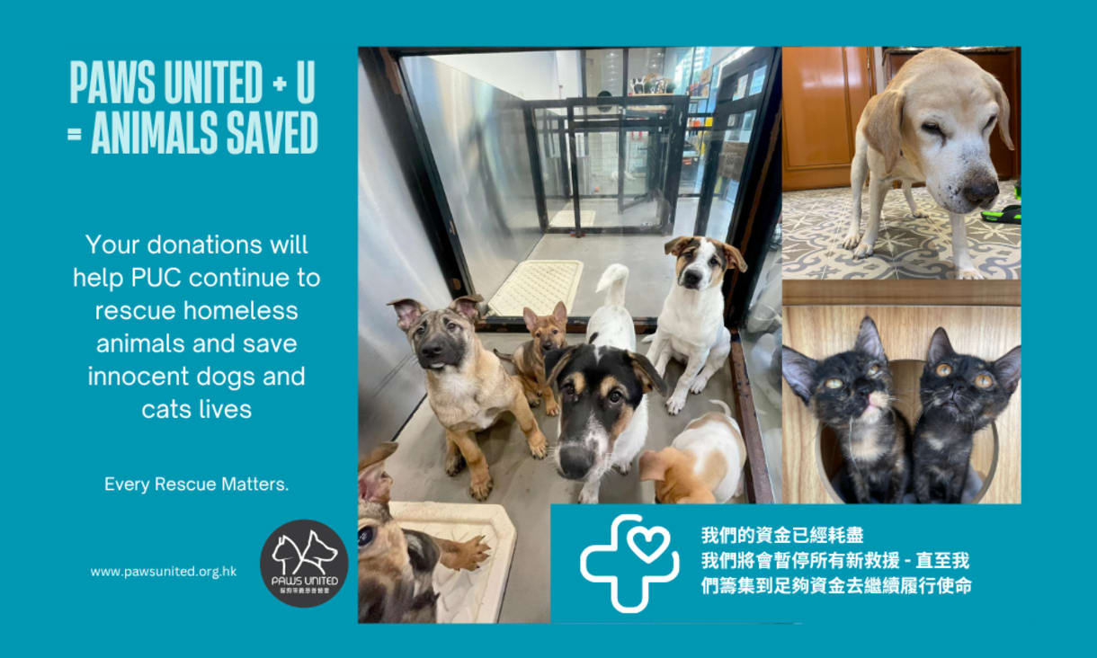 Paws Unit Paws United Charity Ltd