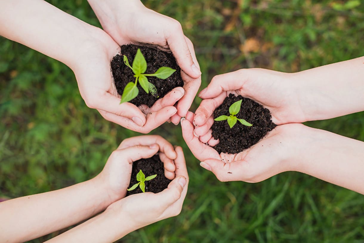 Centre for a Responsible Future banner