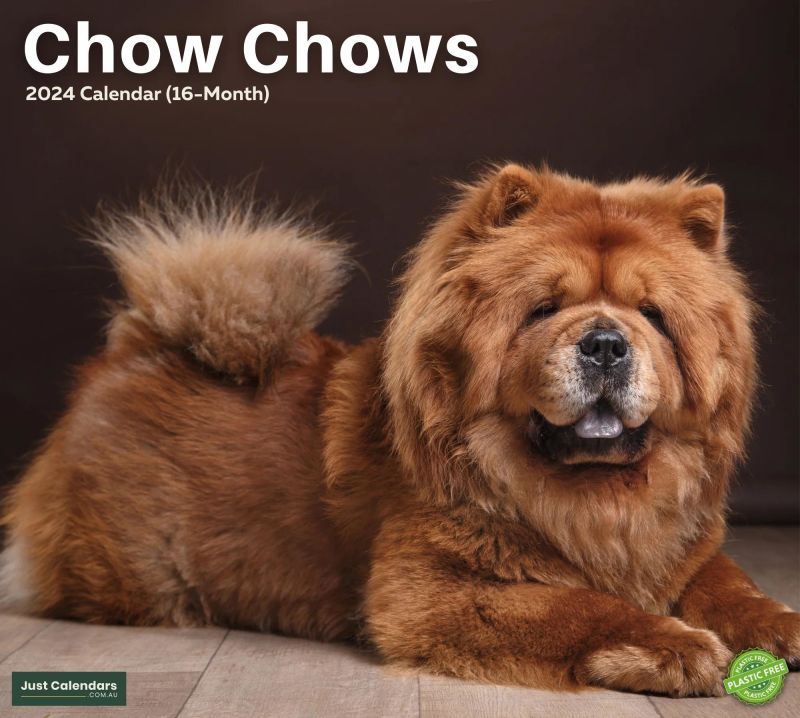 CHOW & CHOWS CHARITY LTD. banner