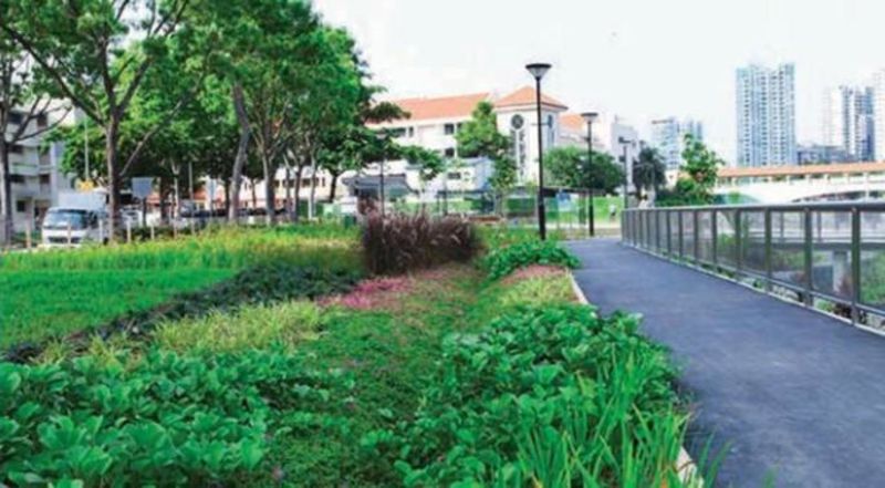 POTONG PASIR CCC COMMUNITY DEVELOPMENT AND WELFARE FUND banner