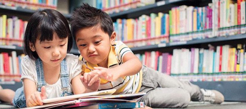 THE LIBRARY FUND banner