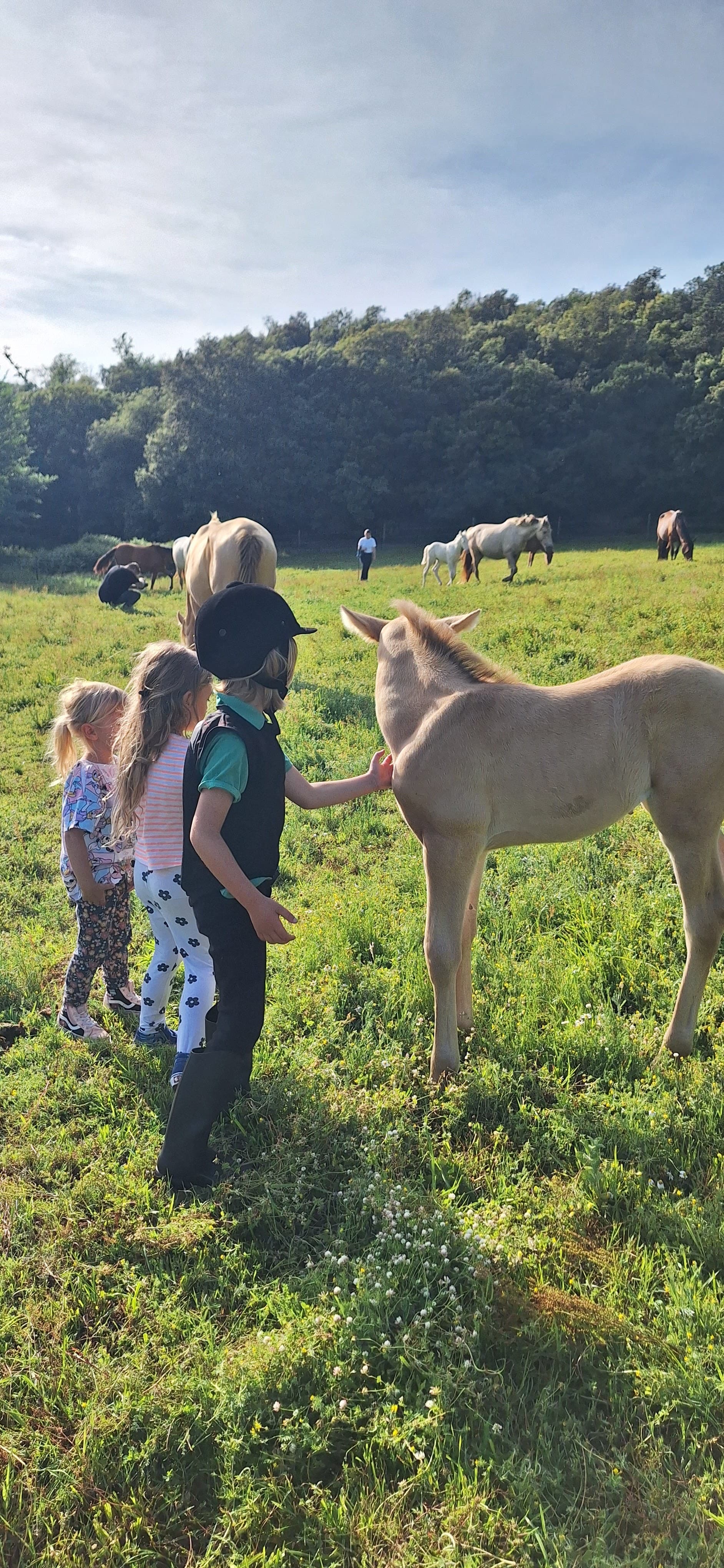 Connect with Horses (Kids Club)