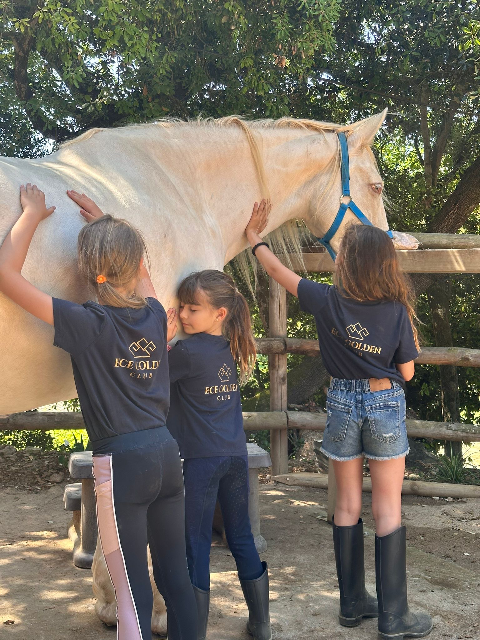 Connect with Horses (Teens Club)
