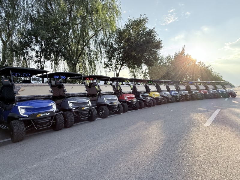 A long row of Wulf golf carts in different colours, lit from behind at golden hour