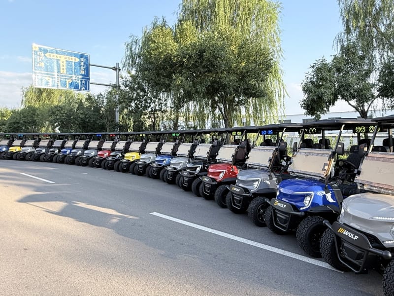 The row of Wulf golf carts photographed from the opposite end