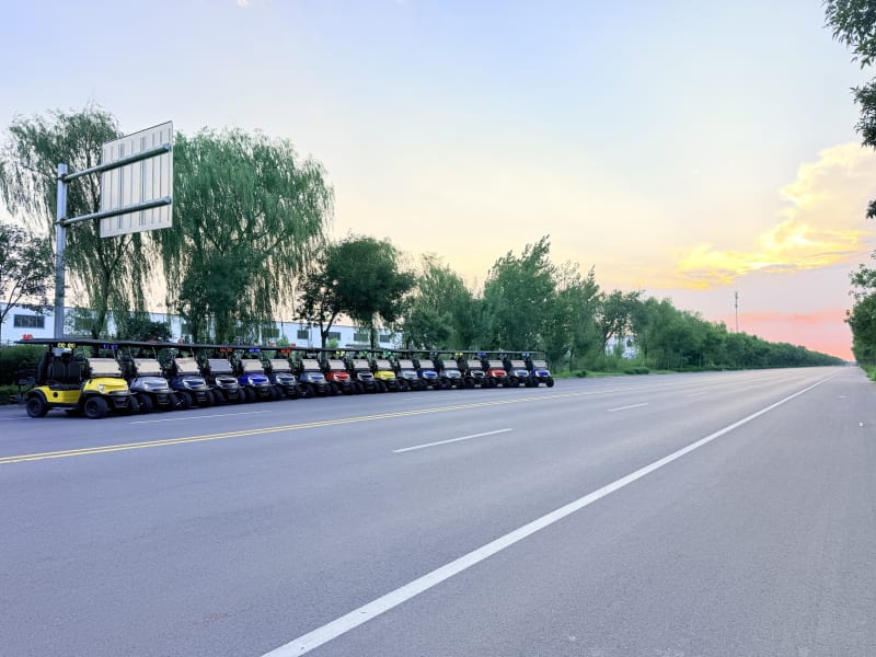The row of Wulf golf carts on the left with open road and sunset sky to the right