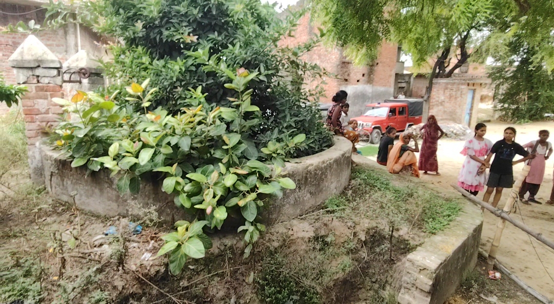 विशालकाय गड्ढे में गिरा गौवंश, फायर ब्रिगेड ने रेस्क्यू कर सुरक्षित निकाला; गड्ढा पाटने की उठी मांग