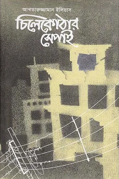 Cover image of চিলেকোঠার সেপাই