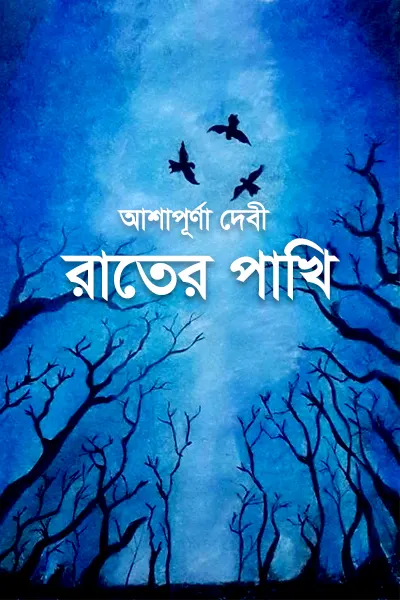 Cover image of রাতের পাখি