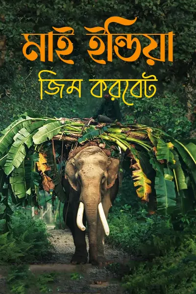 মাই ইন্ডিয়া