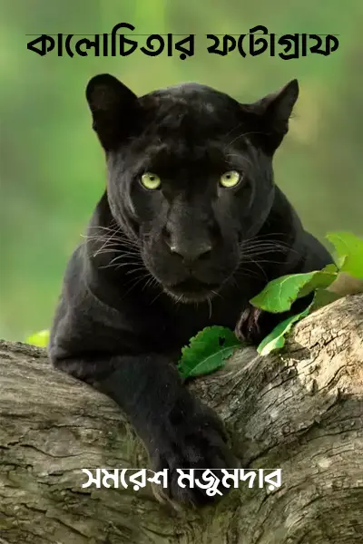 কালোচিতার ফটোগ্রাফ