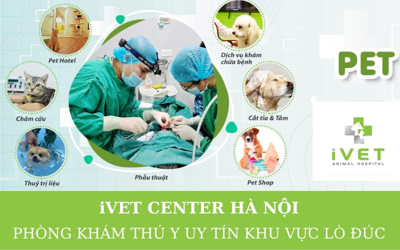 Bệnh viện Thú y Ivet