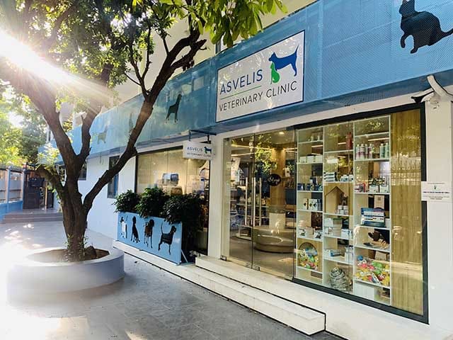 Bệnh viện Thú y Asvelis