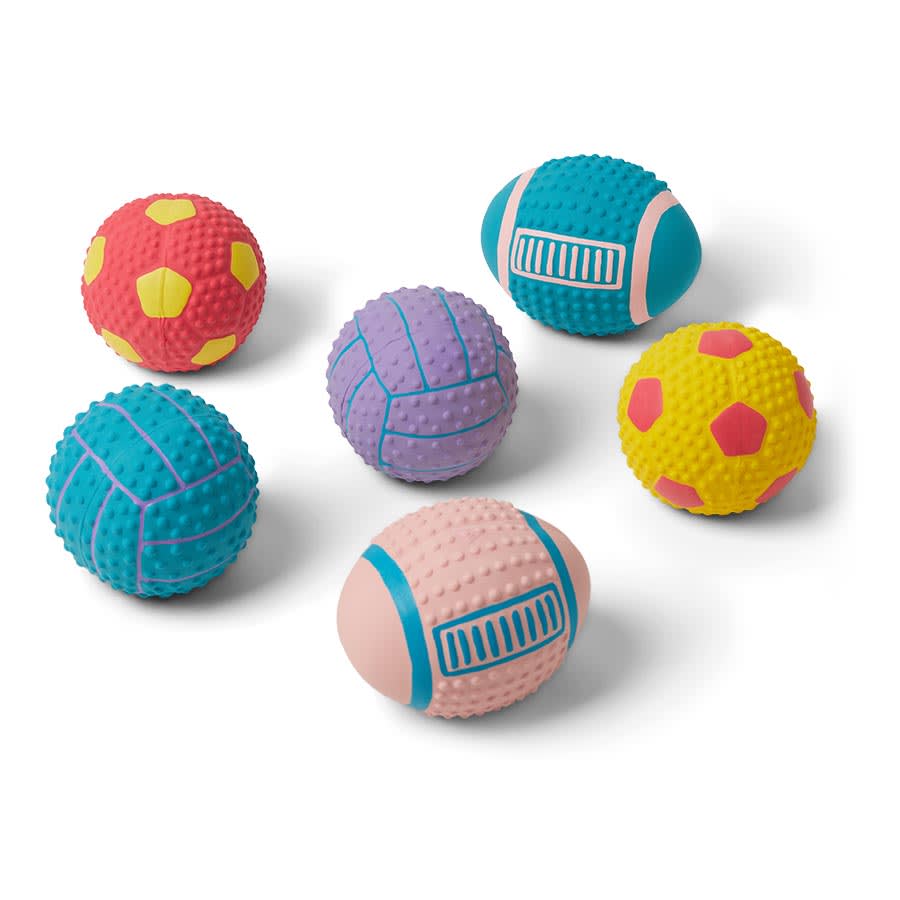 Pet Toy Ball Set