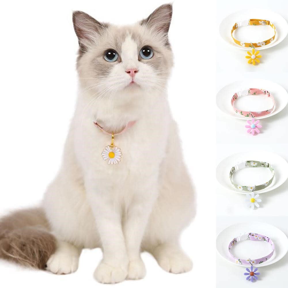 Vòng cổ LED cho mèo – Phát sáng ban đêm