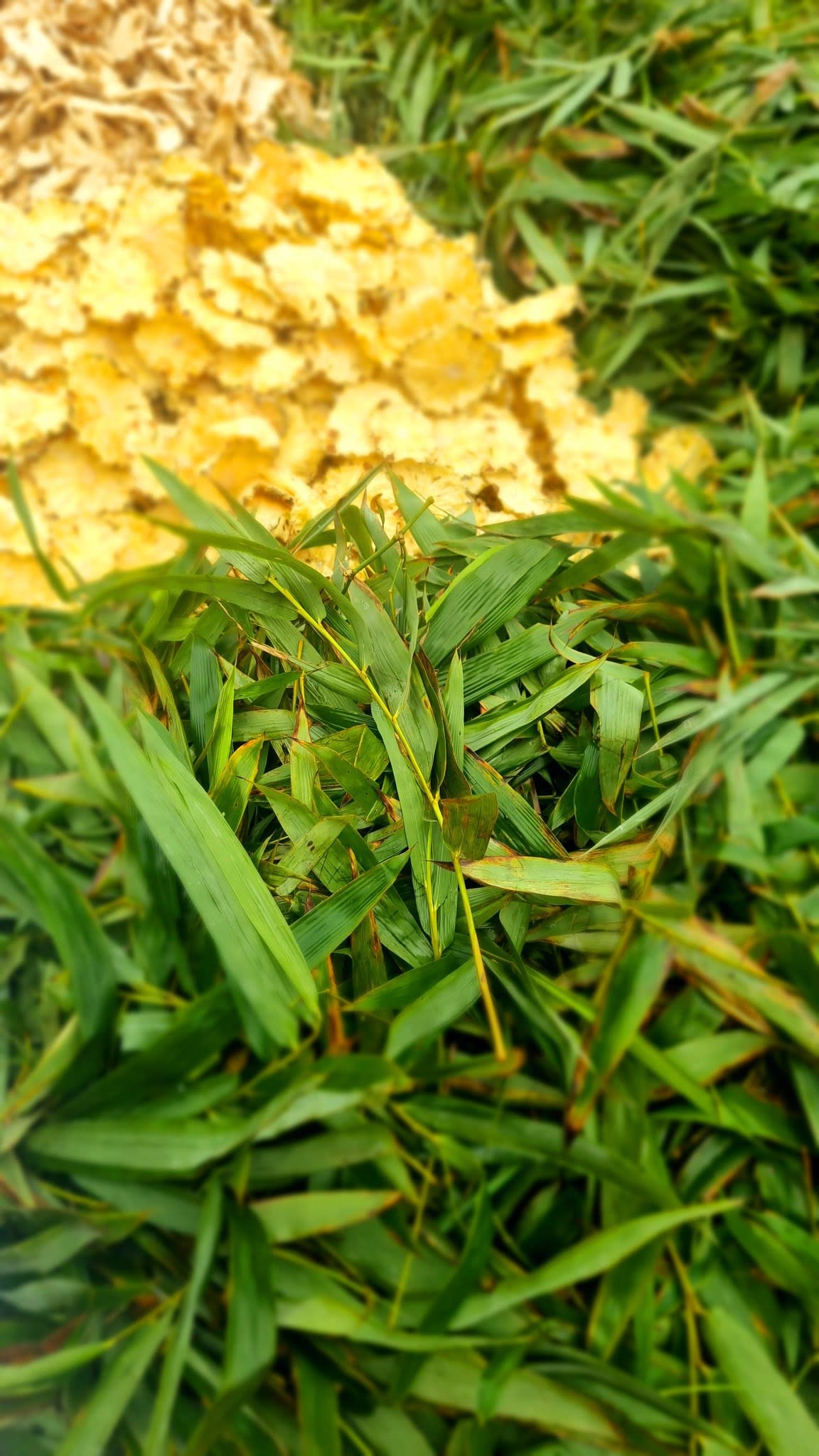 Ảnh 3.