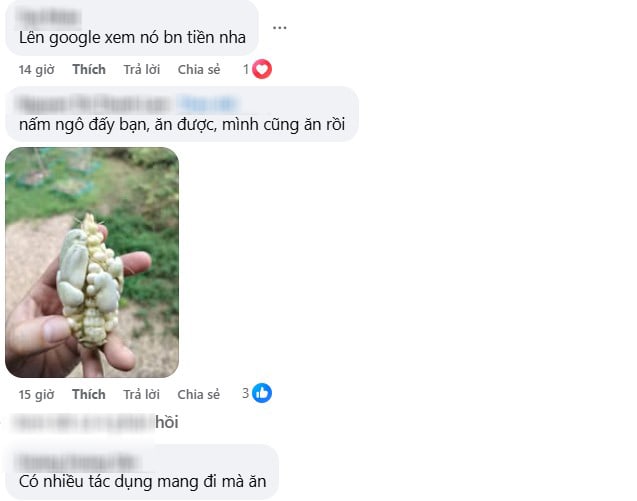 Ảnh 5.
