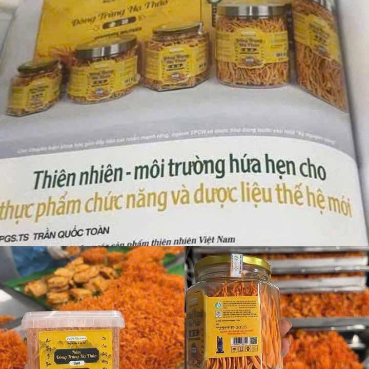 Ảnh 1.