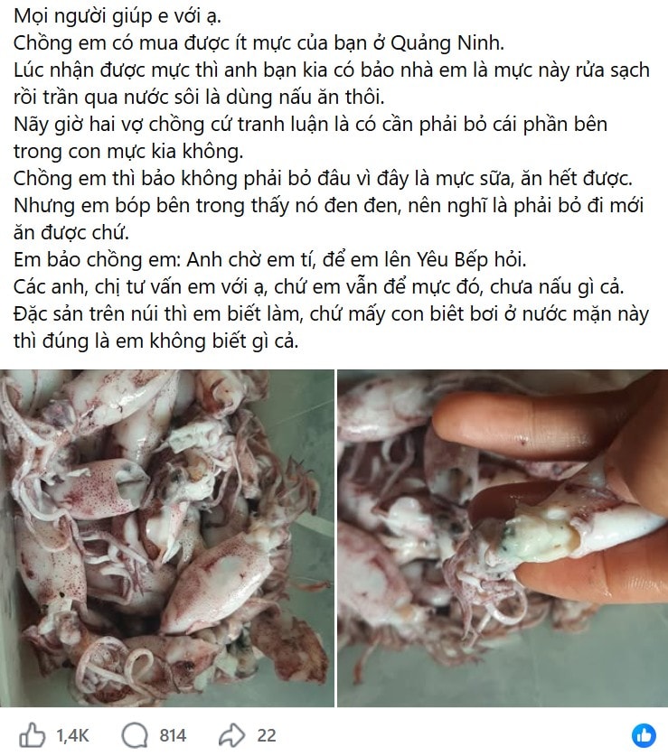 Ảnh 1.
