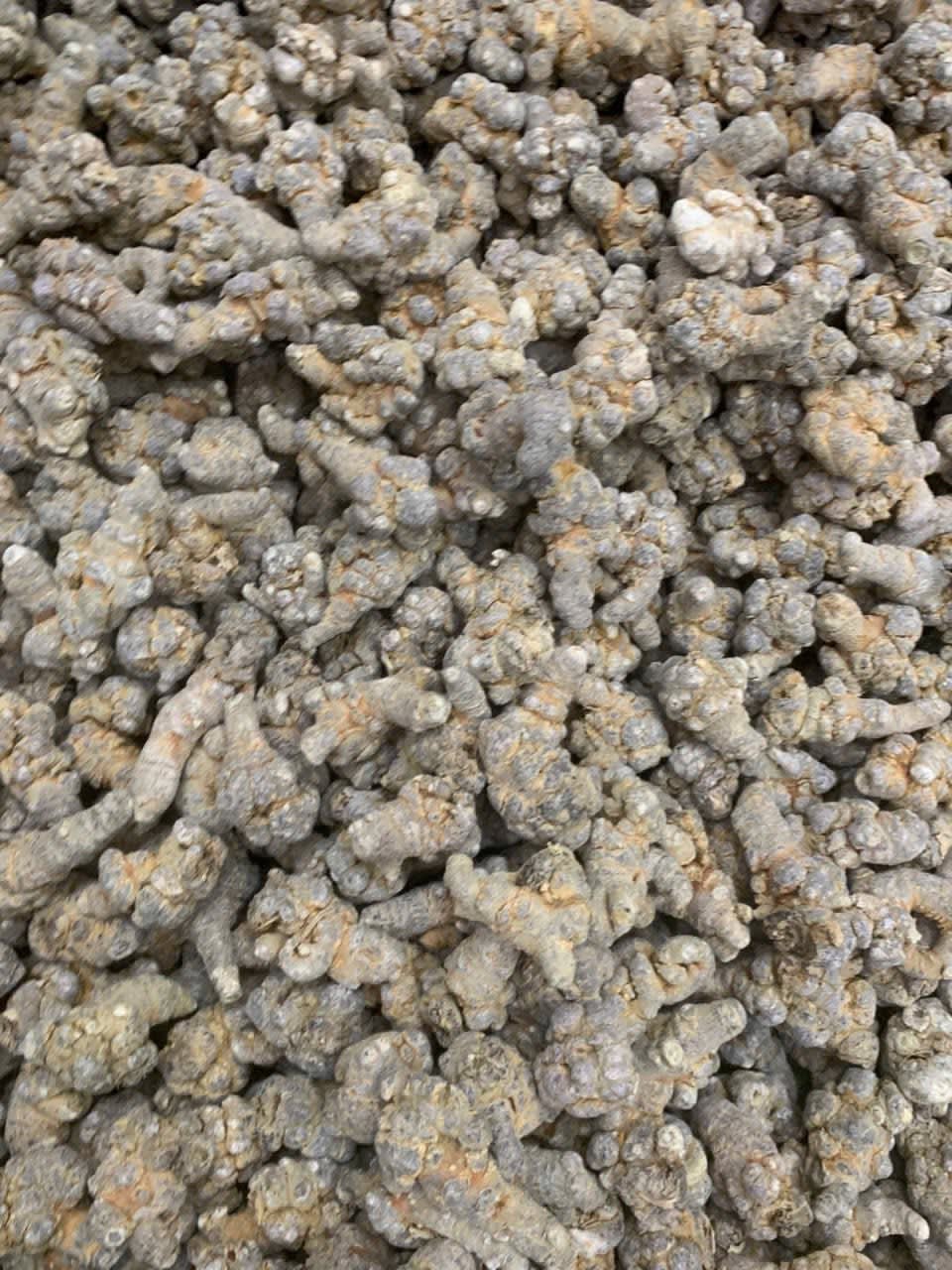 Ảnh 1.